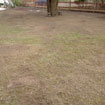 gallery1