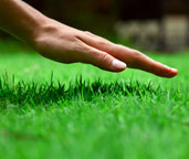 Lawn care